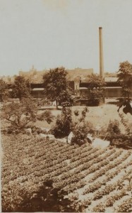 1920's photo of Benedetto farm in Inwood, New York City. 