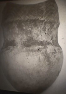 Indian jar found by Calver and Bolton 