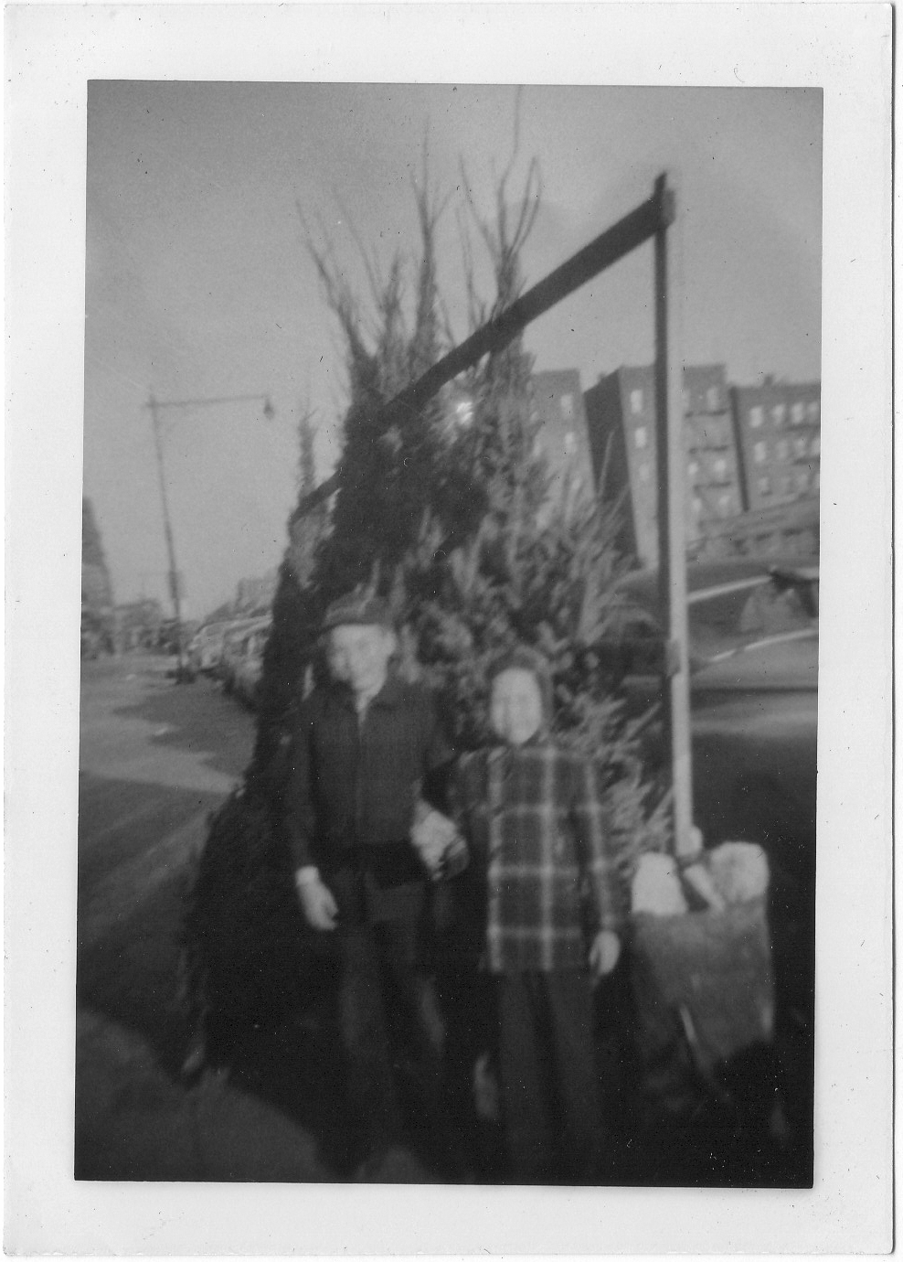 christmas tree shop-53