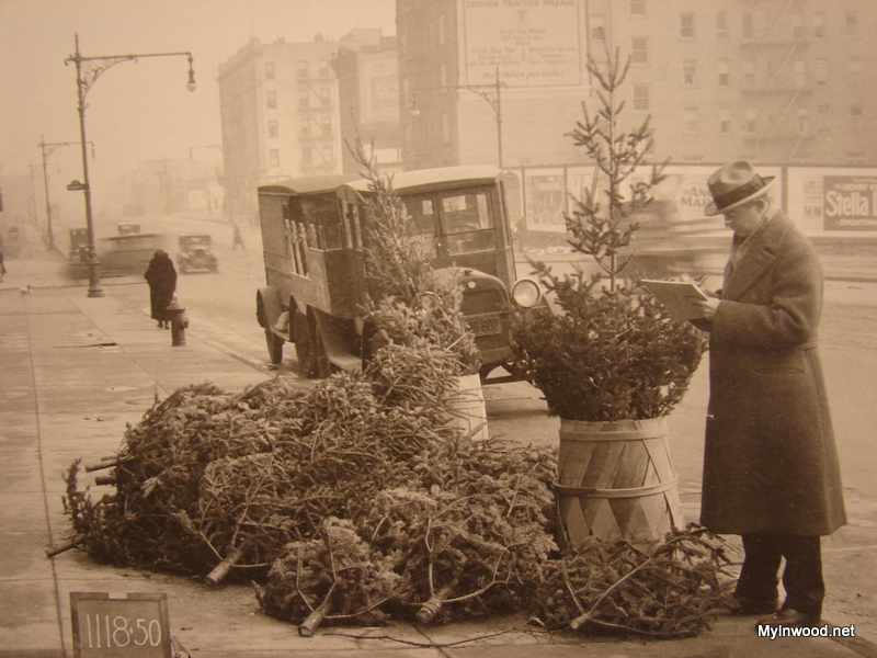 Broadway near Academy in 1925 Christmas Tree stand on Broadway near Academy in 1925
