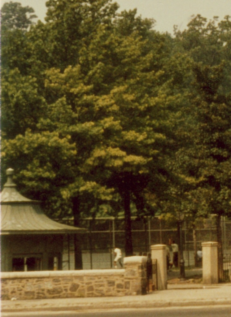 Joe's Ice Cream Stand in 1968. Contributed by Herb Maruska who writes, "Notice that the stand was green, not orange and blue."