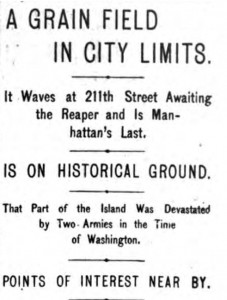 New York Herald, July 14, 1895.