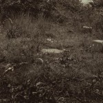 Nagle Cemetery between 9th and 10th Avenues between 212th and 213th Streets, NYPL