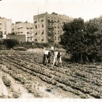 1930 Farm on Broadway