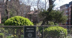 Bruce's Garden