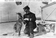 Kangaroo mascot on USS Connecticut 1908