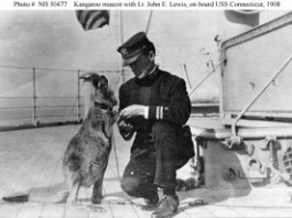 Kangaroo mascot on USS Connecticut 1908