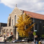 Good Shepherd, 2008