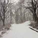 Inwood Hill Park d