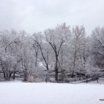 Isham Park s