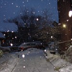 Park Terrace Gardens