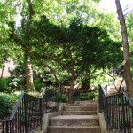 Park Terrace Gardens, Inwood, NYC  13