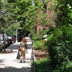 Park Terrace Gardens, Inwood, NYC  3