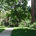 Park Terrace Gardens, Inwood, NYC  5