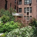 Park Terrace Gardens, Inwood, NYC  8