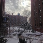 Park Terrace Gardens c