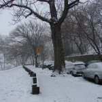 Park Terrace West