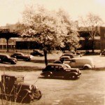 Pear trees grow on the former Nagle Farm just north of 213th Street, 1946 photo, NYHS.