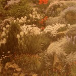 Rock Garden