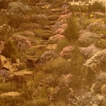 Stone stairway