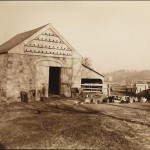 1885 barn chickens isham MCNY