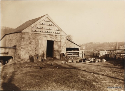 Isham barn with chickens in 1885, MCNY.