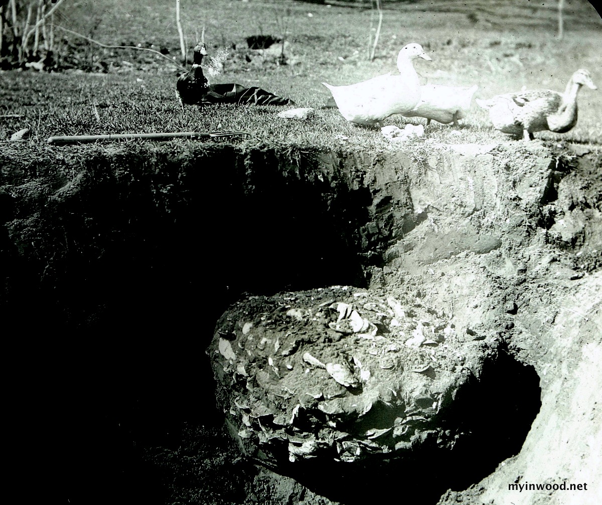 Ducks overseeing turn of the century Inwood shell midden excavation. (Collection of Don Rice)