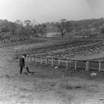 Isham garden, 1906, Inwood Hill to left and Johnson Ironworks to right on Spuyten Duyvil, Photo by Ed Wenzel