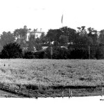 Last Field of Grain on Manhattan Island, Seaman Mansion in background, 1895, Photo by Ed Wenzel