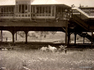 West 207th Street station, detail of photo, 1906, NYHS.