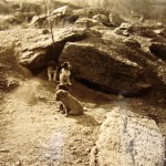 Wild dogs, Thayer Street, 1916, Photo by William Calver, NYHS