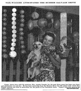 Yappy the houseboat dog, 196th Street and Harlem River,  July 4, 1942, New York Times.