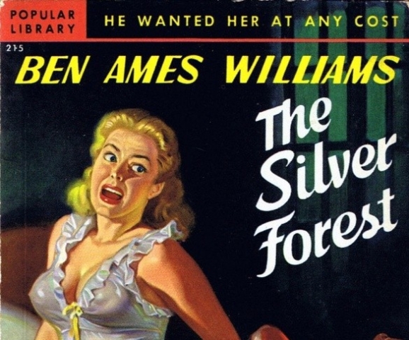 The Silver Forest, cover art by Rudolph Belarski.