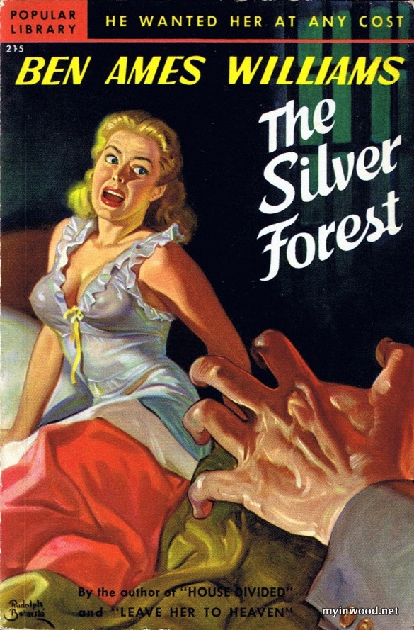 The Silver Forest, cover art by Rudolph Belarski.