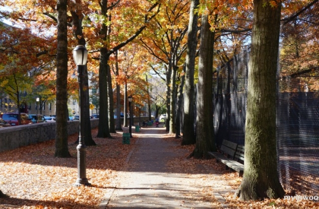 Autumn 2015, Inwood Hill Park