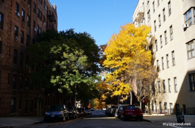 Autumn 2015, West  215th Street