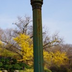 One of two surviving gas lampposts in New York City. (Corner of Broadway and West 211th Street)