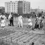 Japanese People Cultivating Plot in New York City