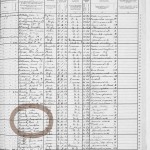 Plumb family  highlighted in 1915 New York State Census.