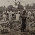 School Garden, Public School 52 Source, Fiftieth Anniversary of the Inwood School, P.S. 52, Manhattan, New York, 1858-1908