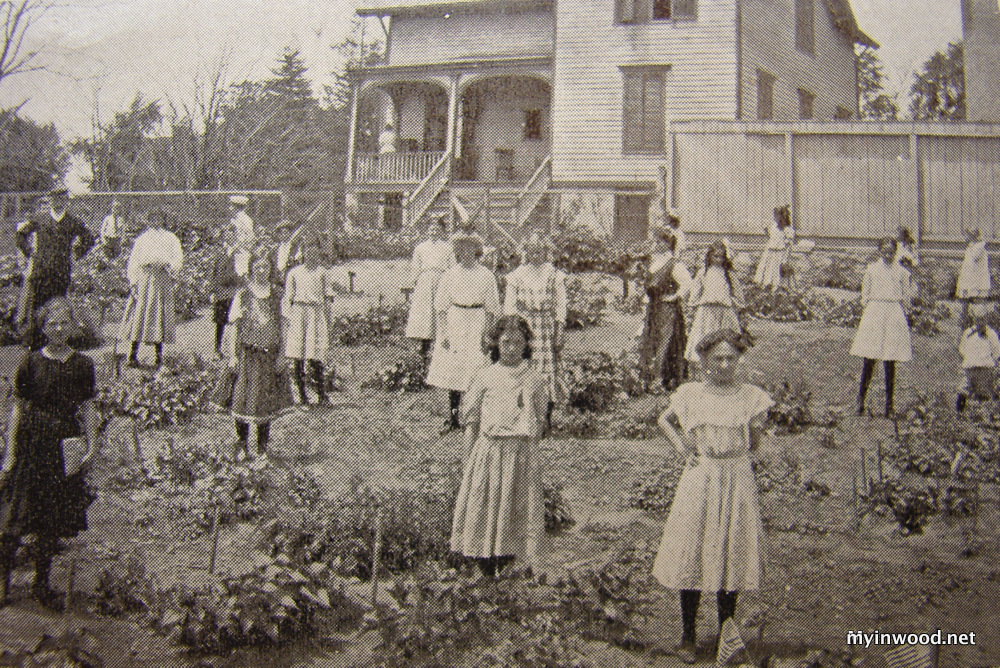 School Garden, Public School 52 Source, Fiftieth Anniversary of the Inwood School, P.S. 52, Manhattan, New York, 1858-1908.