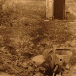 The Cold Spring, Inwood Nov 13, 1897