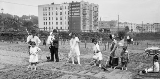 Original caption: 6/2/1917-"Somewhere in New York City," just a few blocks from the upper boundary, to be exact, the Inwood Community Garden Association is cultivating a stretch of ground, composed of 60 lots, each 20 by 40 feet, in persuance of President Wilson's recent call to the people to raise their own food. This photo shows Japanese people working on one of the plots. The man is Dr. Minosuke Yamaguchi and the rest are Mrs. H. Muroyama and her family. --- Image by © Bettmann/CORBIS