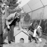 Parks Commissioner Henry Stern and Queens Zoo Director Faye Witherell await the emergence of a weather-predicting rodent, February 1984. Courtesy of Parks Photo Archive.