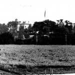 Last Field of Grain on Manhattan Island, Seaman Mansion in background, 1895, Photo by Ed Wenzel