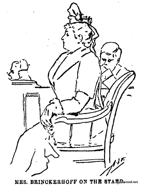 Henrietta Brinckerhoff at divorce trial, New York Herald, January 12, 1892