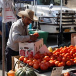 A bountiful harvest at the Inwood Farmer’s Market.