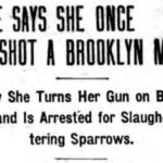 Daily Standard Union, June 30, 1904.